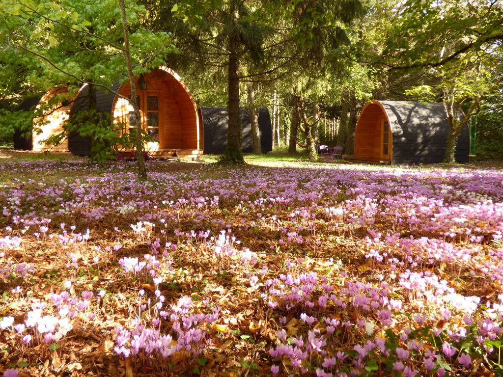 La Rossignolerie - Pod Cabanes Des Chateaux Chouzy-sur-Cisse Kültér fotó