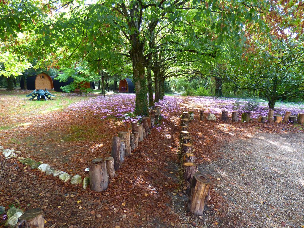 La Rossignolerie - Pod Cabanes Des Chateaux Chouzy-sur-Cisse Kültér fotó